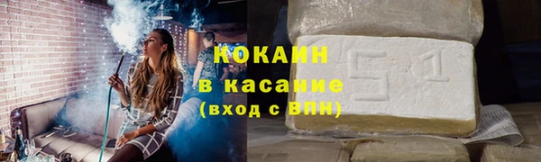 шишки Пестово