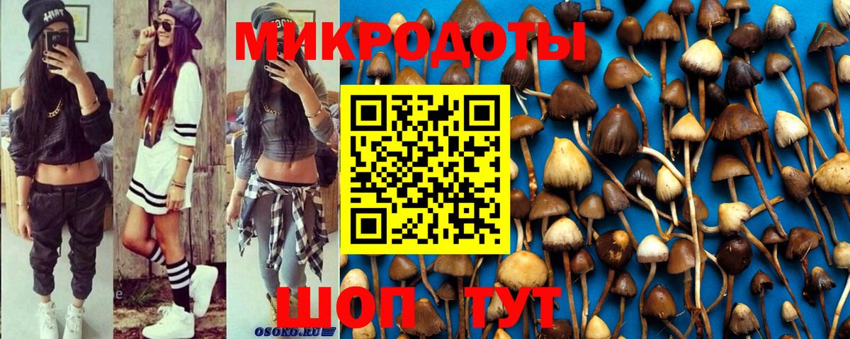 Галлюциногенные грибы Cubensis  Галлюциногенные грибы Magic Shrooms  Курчалой  Вход с VPN 