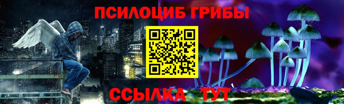 Галлюциногенные грибы GOLDEN TEACHER Курчалой