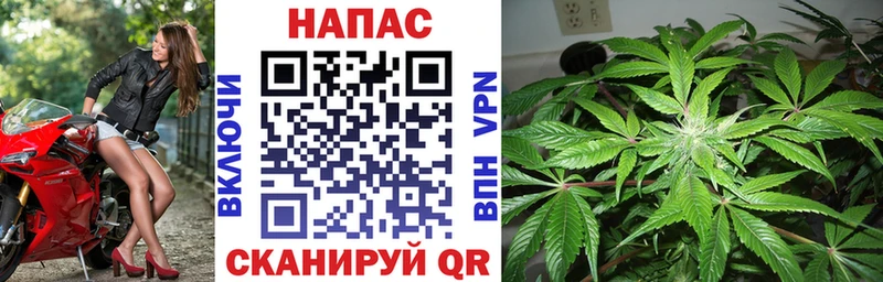 Канабис SATIVA & INDICA  Курчалой 