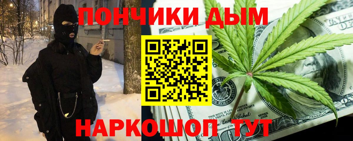 Конопля гибрид Курчалой